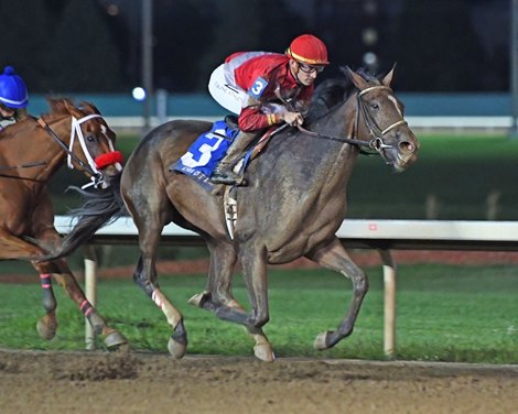 Magical Lute wins the 2024 Iowa Distaff Stakes at Prairie Meadows