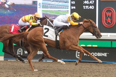 Toronto ON, July 11, 2024, Woodbine Racecourse, Emma-Jayne Wilson becomes the highest earning female horsewoman of all time when she wins her 4th race aboard Perfect Lady Bee for owner Charles Fipke and trainer Roger Attfield