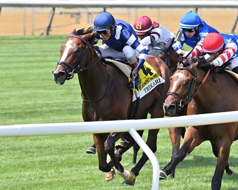 Trikari wins the 2024 Belmont Derby Invitational Stakes at Aqueduct Racetrack