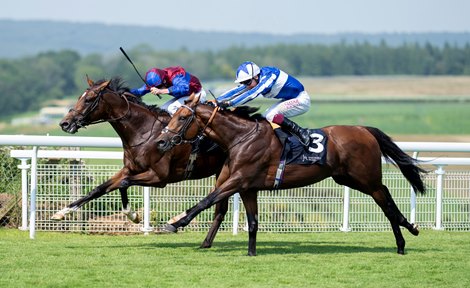 Jan Brueghel (Ryan Moore) beats Bellum Justum (Oisin Murphy) in the Gordon Stakes<br>
Goodwood 1.8.24 Pic: Edward Whitaker