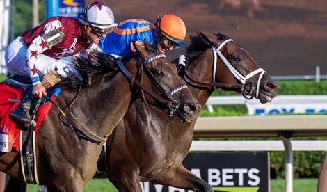 Fierceness with jockey John Velazquez holds off a late charge from filly Thorpedo Anna with jockey Brian Hernandez Jr. to win the 155th running of these Travers Stakes at the Saratoga Race Course Saturday Aug 24, 2024 in Saratoga Springs, N.Y.  Photo  by Skip Dickstein