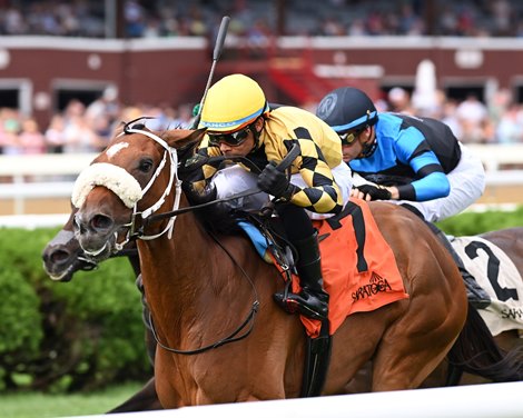 Totally Justified wins the P. G. Johnson Stakes at Saratoga on August 28, 2024