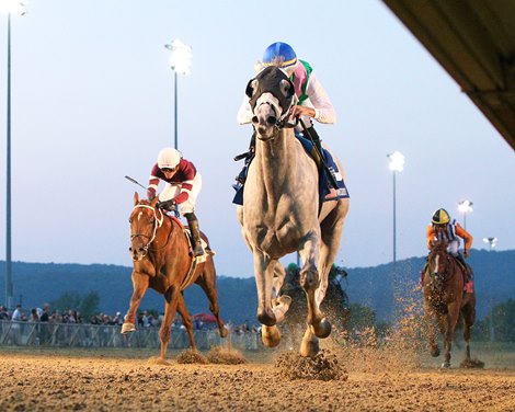 Dragoon Guard wins the 2024 West Virginia Derby at Mountaineer