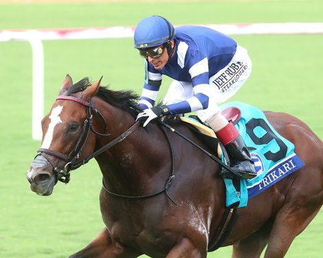 Trikari wins the 2024 Secretariat Stakes at Colonial Downs