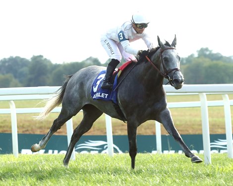 Ag Bullet wins the 2024 Ladies Turf Sprint Stakes at Kentucky Downs