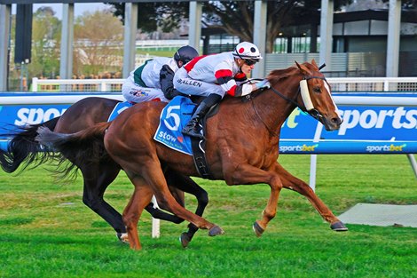 Pinstriped wins the 2024 Memsie Stakes at Caulfield Racecourse<br>
ridden by Ben Allen and trained by Enver Jusufovic