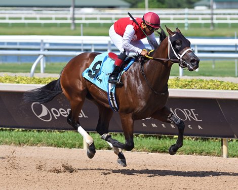 Neoequos, Maiden Win, Gulfstream Park, August 10 2024 Neoequos, Maiden Win, Gulfstream Park, August 10 2024
