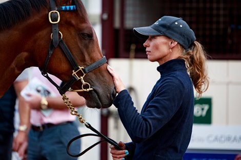 Arqana, Deauville, 17/08/2024, photo: Zuzanna Lupa