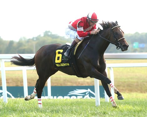 Walkathon wins the 2024 Kentucky Downs Ladies Turf Stakes