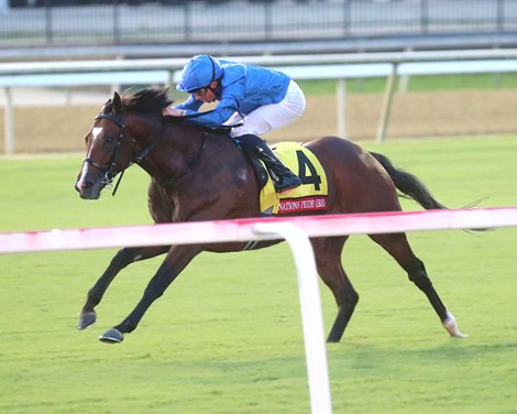 Nations Pride wins the 2024 Arlington Million Stakes at Colonial Downs