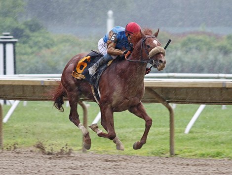 Subsanador(#6) with Jockey Mike Smith riding won the $250,000 Grade III Philip H. Iselin Stakes on Saturday August 17, 2024 at Monmouth Park Racetrack in Oceanport, NJ Photo By Melissa Torres/EQUI-PHOTO Subsanador(#6) with Jockey Mike Smith riding won the $250,000 Grade III Philip H. Iselin Stakes on Saturday August 17, 2024 at Monmouth Park Racetrack in Oceanport, NJ Photo By Melissa Torres/EQUI-PHOTO