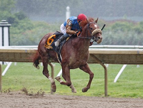 Subsanador(#6) with Jockey Mike Smith riding won the $250,000 Grade III Philip H. Iselin Stakes on Saturday August 17, 2024 at Monmouth Park Racetrack in Oceanport, NJ Photo By Melissa Torres/EQUI-PHOTO