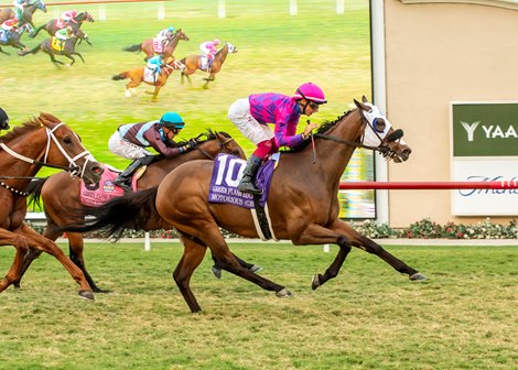 Anthony Fanticola's Motorious and jockey Antonio Fresu win the Grade III $150,000 Green Flash Handicap Saturday, August 31, 2024 at Del Mar Thoroughbred Club, Del Mar, CA. <br>
Benoit Photo