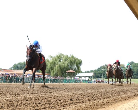 Owen Almighty wins the 2024 Ellis Park Juvenile Stakes at Ellis Park