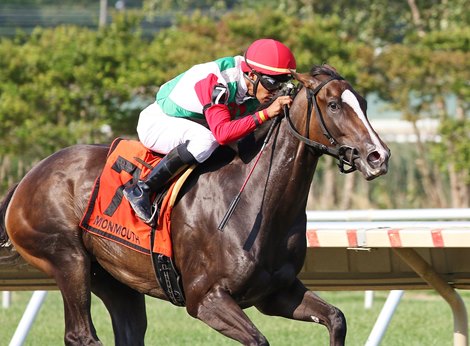 Social Fortress #7 with Jaime Rodriguez riding won the $200,000 Sorority Stakes at Monmouth Park Racetrack in Oceanport, NJ Photo By Julia Sebastianelli/EQUI-PHOTO