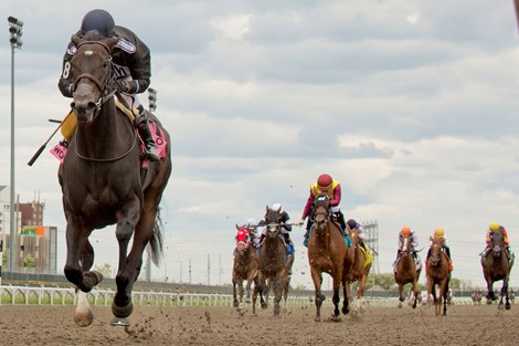 Jockey Patrick Husbands guides Stormcast to victory in the $250,000 Bison City Stakes. Stormcast is owned by K E M Racing Stable and trained by Mark Casse. Woodbine/Michael Burns Photo