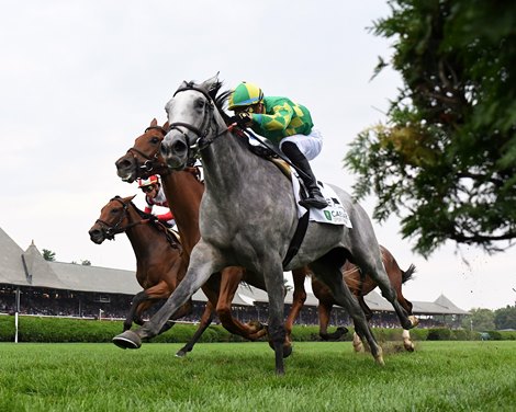 Grayosh wins the Lake Placid Stakes on Saturday, August 17, 2024 at Saratoga