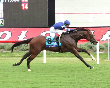 Trikari wins the 2024 Secretariat Stakes at Colonial Downs