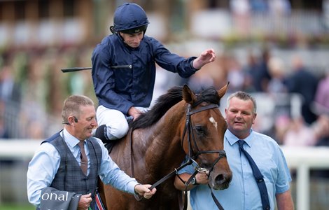 City of Troy (Ryan Moore) are led by Pat Keating and David Hickey (right) after the Juddmonte International<br>
York 21.8.24 Pic: Edward Whitaker