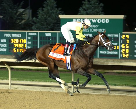 Skippylongstocking wins the 2024 Charles Town Classic Stakes at Charles Town