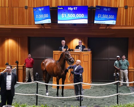 Hip 097, 2024 Fasig-Tipton Saratoga  Sale