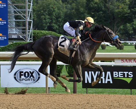 Filoso, Maiden Win, Saratoga Race Course, August 29 2024