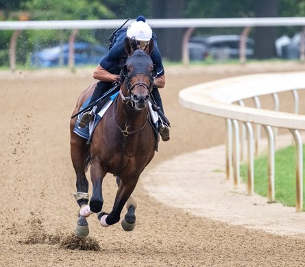 Chad Brown trained Sierra Leone with exercise rider Kris Bon has a final breeze on the Oklahoma Training Track before next Saturday’s Travers Stakes at the Saratoga Race Course Saturday Aug 17, 2024 in Saratoga Springs, N.Y.  Photo  by Skip Dickstein