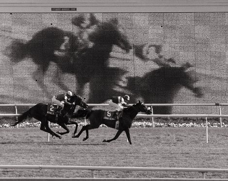 John Henry wins the 1984 Arlington Million at Arlington Park