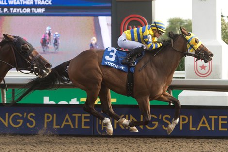 Jockey Sofia Vives captures the Bold Venture Stakes aboard Patches O'Houlihan for owner Frank Di Giulio Jr. and trainer Robert Tiller at Woodbine