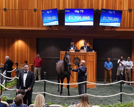 Hip 75, 2024 Fasig-Tipton Saratoga Sale