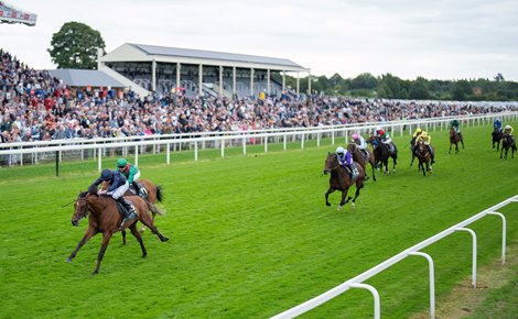 City of Troy (Ryan Moore) beats Calandagan and Ghostwriter in the Juddmonte International<br>
York 21.8.24 Pic: Edward Whitaker