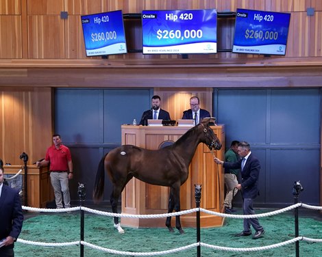 The Maxfield filly consigned as Hip 420 in the sales ring at the Fasig-Tipton Saratoga New York-bred Sale