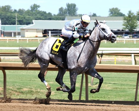 Saudi Crown wins the 2024 R.A. "Cowboy" Jones Stakes at Ellis Park