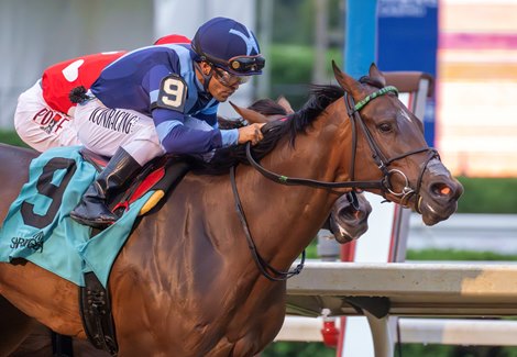 Brightwork with jockey Luis Suez, #9 passes the competition on the way to the win in  77th running of The Prioress at the Saratoga Race Course Saturday  Aug 31, 2024 in Saratoga Springs, N.Y.  Photo  by Skip Dickstein