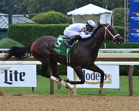 Federal Judge, AOC, Saratoga Race Course, August 31 2024