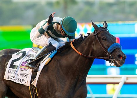 Adare Manor and jcokey Juan Hernandez win the Grade I, $400,000 Clement L. Hirsch Stakes, Saturday, August 3, 2024 at Del Mar Thoroughbred Club, Del Mar CA.<br><br />
&#169; BENOIT PHOTO
