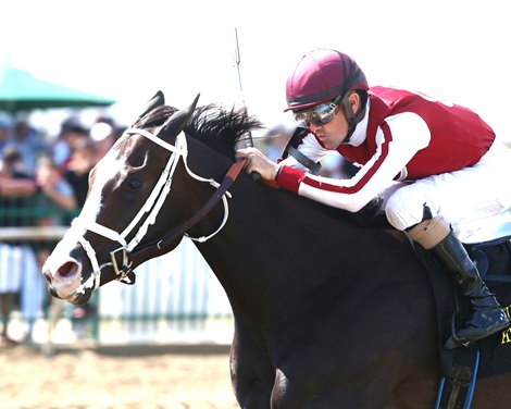 Stilettos wins the 2024 Ellis Park Debutante Stakes at Ellis Park