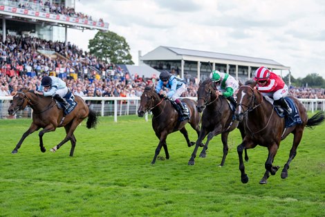 Bradsell (Hollie Doyle,right) beats Believing (Ryan Moore,left) in the Nunthorpe<br>
York 23.8.24 Pic: Edward Whitaker