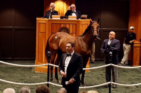 Hip 085, 2024 Fasig-Tipton Saratoga Sale