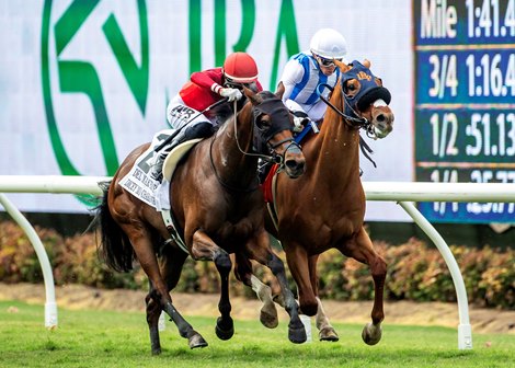 Irish-bred Gold Phoenix and jockey Kyle Frey, right, sneak by Dicey Mo Chara and Hector Berrios to win the Grade II Del Mar Handicap for the third-straight year, Saturday, August 31, 2024 at Del Mar Thoroughbred Club, Del Mar, CA.<br>
Benoit Photo