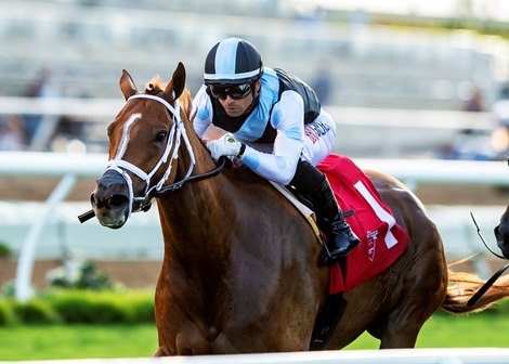 Sunset Glory and jockey Umberto Rispoli win the $100,000 CTT and TOC Stakes, Friday, August 16, 2024 at Del Mar Thoroughbred Club, Del Mar CA.<br><br />
&#169; BENOIT PHOTO