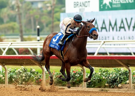 Cicero Farms&#39; Hope Road and jockey Juan Hernandez make easy work of the Grade III $150,000 Torrey Pines Stakes Saturday, August 31, 2024 at Del Mar Thoroughbred  Club, Del Mar,  CA. Benoit Photo