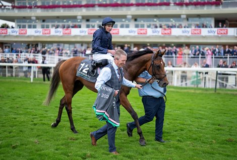 City of Troy (Ryan Moore) are led by Pat Keating after the Juddmonte International<br><br />
York 21.8.24 Pic: Edward Whitaker