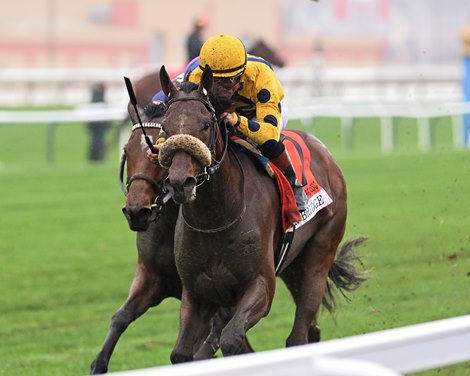 Far Bridge wins the 2024 Joe Hirsch Turf Classic Stakes at Aqueduct Racetrack