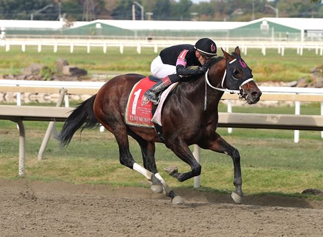 Smooth B #1 with Mychel Sanchez riding won the $250,000 Grade III Turf Monster at Parx Racing in Bensalem, PA on September 21, 2024. Photo by Ryan Denver/EQUI-PHOTO.