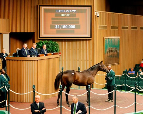 Hip 82, 2024 Keeneland September Sale