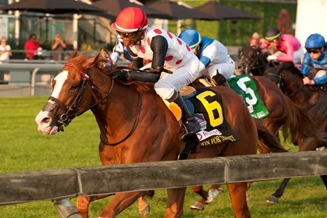 Toronto ON.September 14, 2024.Woodbine Racetrack.Jockey Patrick Husbands guides Win for the Money in the $1,000,000 dollar Rogers Woodbine Mile.Win for the Money (white red dots red cap black sleeves) is owned by Live Oak Plantation and trained by Mark Casse.Woodbine/ Michael Burns Photo Toronto ON.September 14, 2024.Woodbine Racetrack.Jockey Patrick Husbands guides Win for the Money in the $1,000,000 dollar Rogers Woodbine Mile.Win for the Money (white red dots red cap black sleeves) is owned by Live Oak Plantation and trained by Mark Casse.Woodbine/ Michael Burns Photo