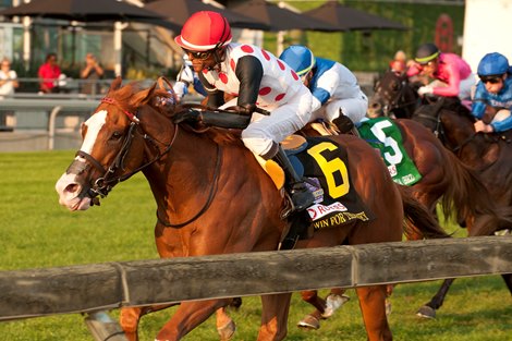 Toronto ON.September 14, 2024.Woodbine Racetrack.Jockey Patrick Husbands guides Win for the Money in the $1,000,000 dollar Rogers Woodbine Mile.Win for the Money (white red dots red cap black sleeves) is owned by Live Oak Plantation and trained by Mark Casse.Woodbine/ Michael Burns Photo