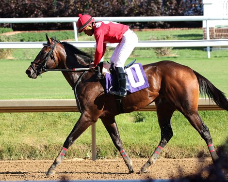 Jonathan's Way wins the 2024 Iroquois Stakes at Churchill Downs