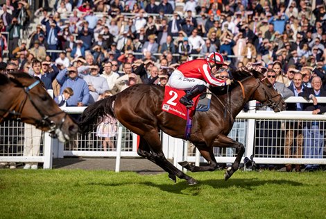 Bradsell (Hollie Doyle) wins the Flying Five Stakes Gr.1.<br>
Irish Champions Festival day 2.<br>
The Curragh.<br>
Photo: Patrick McCann/Racing Post<br>
15.09.2024